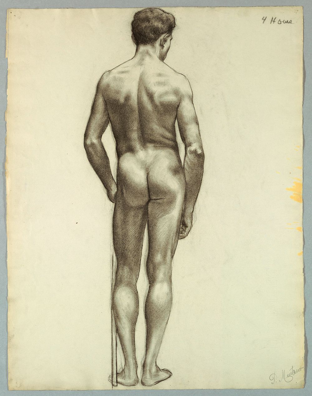 Standing male nude seen from the back