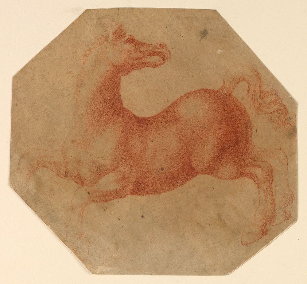 Study of a Rearing Horse after Leonardo da Vinci, attributed to Francesco Melzi
