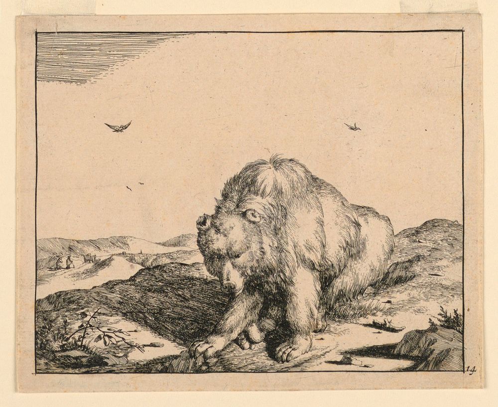 Seated Bear, from a Set of Sixteen Views of Bears, Marcus de Bye
