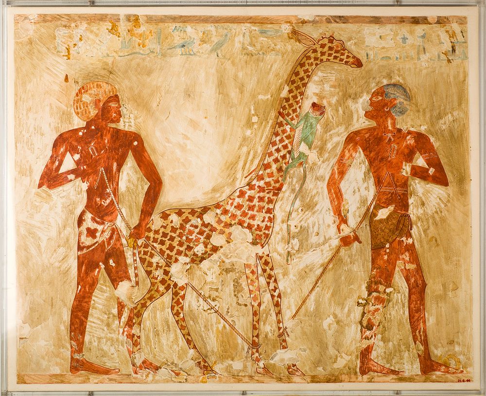 Nubians with a Giraffe and a Monkey, Tomb of Rekhmire by Nina de Garis Davies