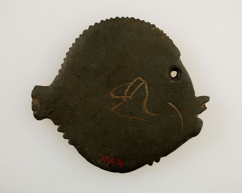 Palette in the Form of a Fish