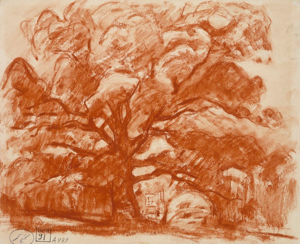 Oak in kilo, 1921 - 1923 by Magnus Enckell