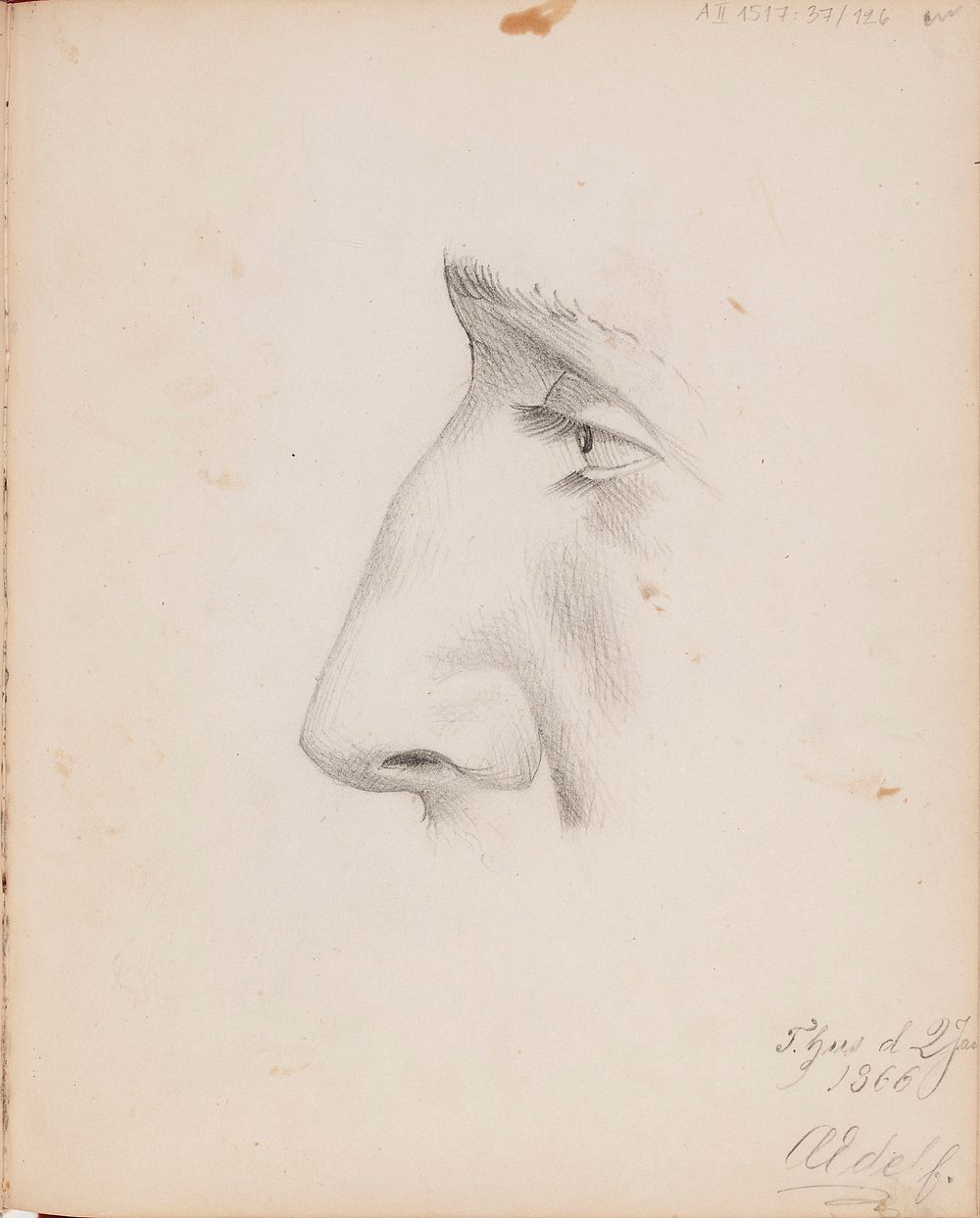 Miehen kasvot sivulta, silm&auml; ja nen&auml;. merkitty: t. hus d 2 ja / 1866 / aedelf., 1863 - 1866 part of a sketchbook…