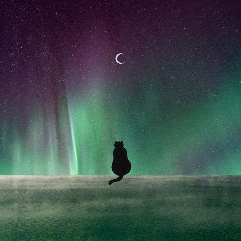Northern lights background, black cat remix