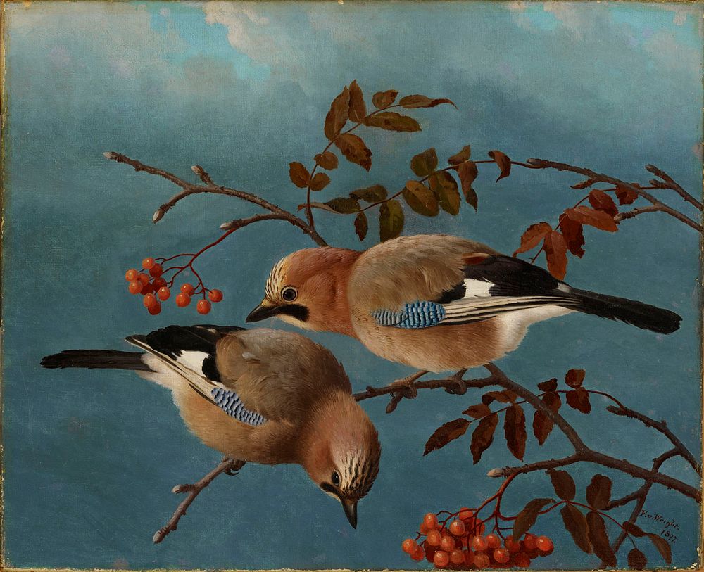 Jays, 1877, by Ferdinand von Wright