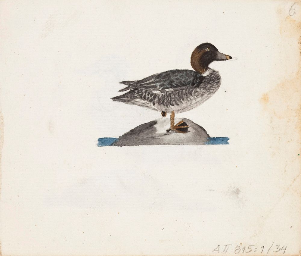 Telkk&auml;naaras, 1830 part of a sketchbook, by Ferdinand von Wright