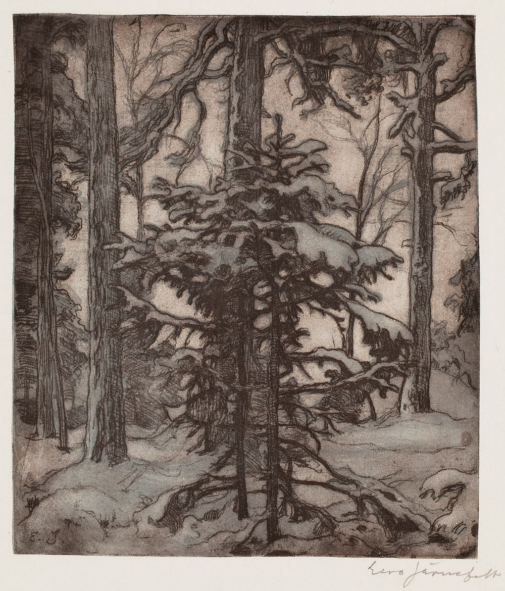 Snowy forest, 1900 - 1937, Eero Järnefelt
