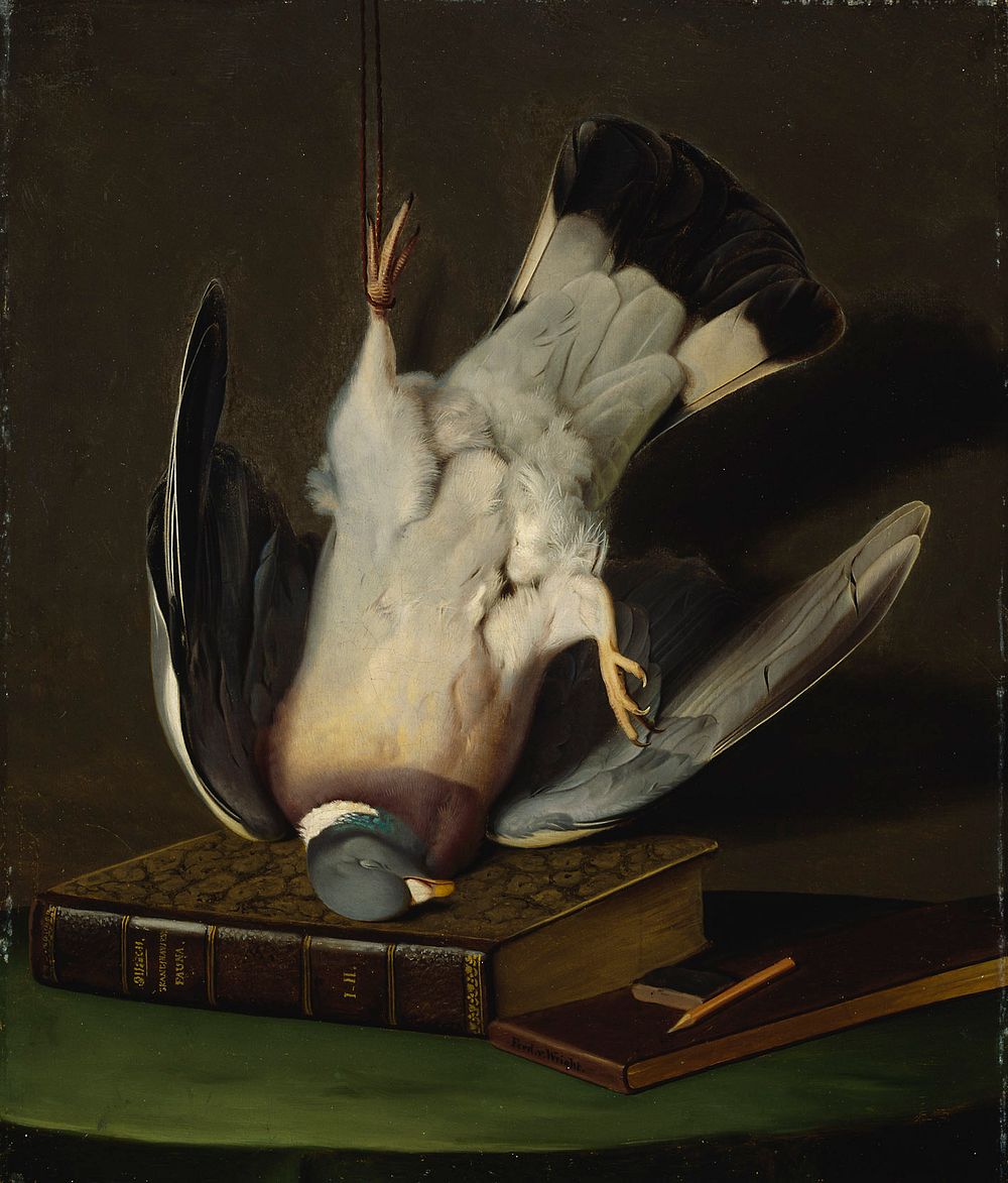 A dead wood pigeon, 1867, by Ferdinand von Wright