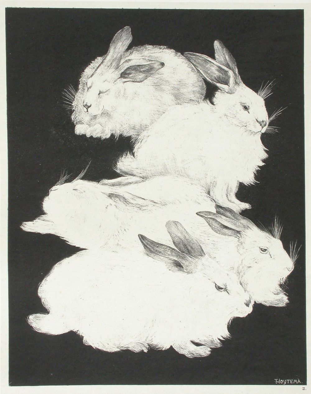 Kaniineja, Theodoor Van Hoytema