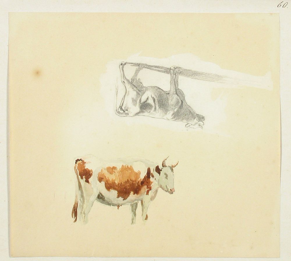 Vesivärein väritetty lehmä ja lyijykynällä piirretty lehmä, 1856, Werner Holmberg