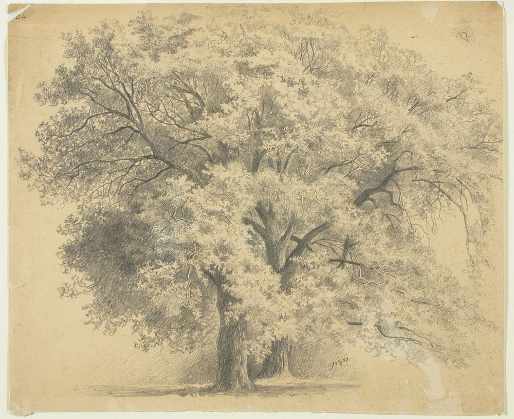 Suuri puuryhmä, 1883, Eero Järnefelt