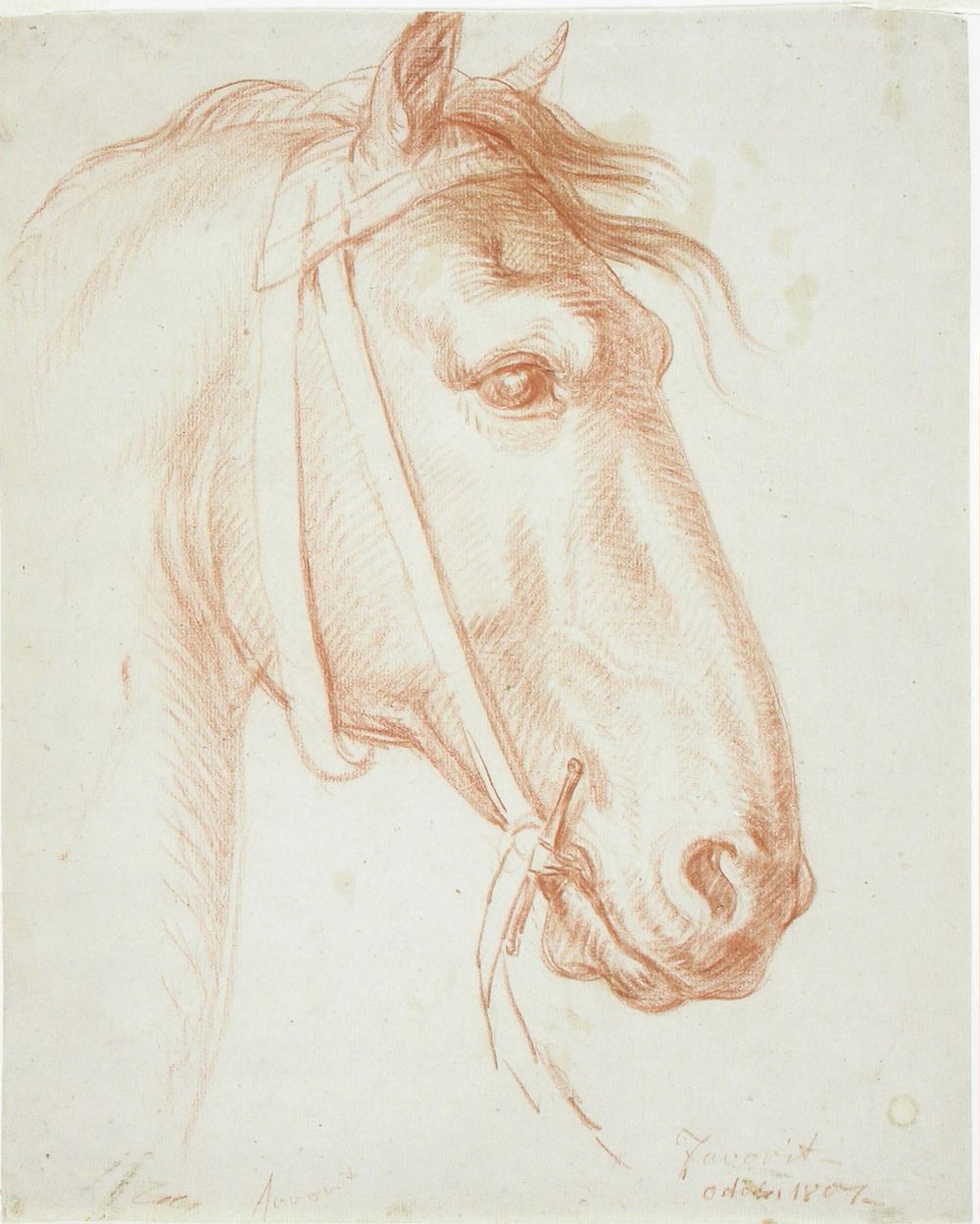 Hevosen pää, 1807, by Alexander Lauréus