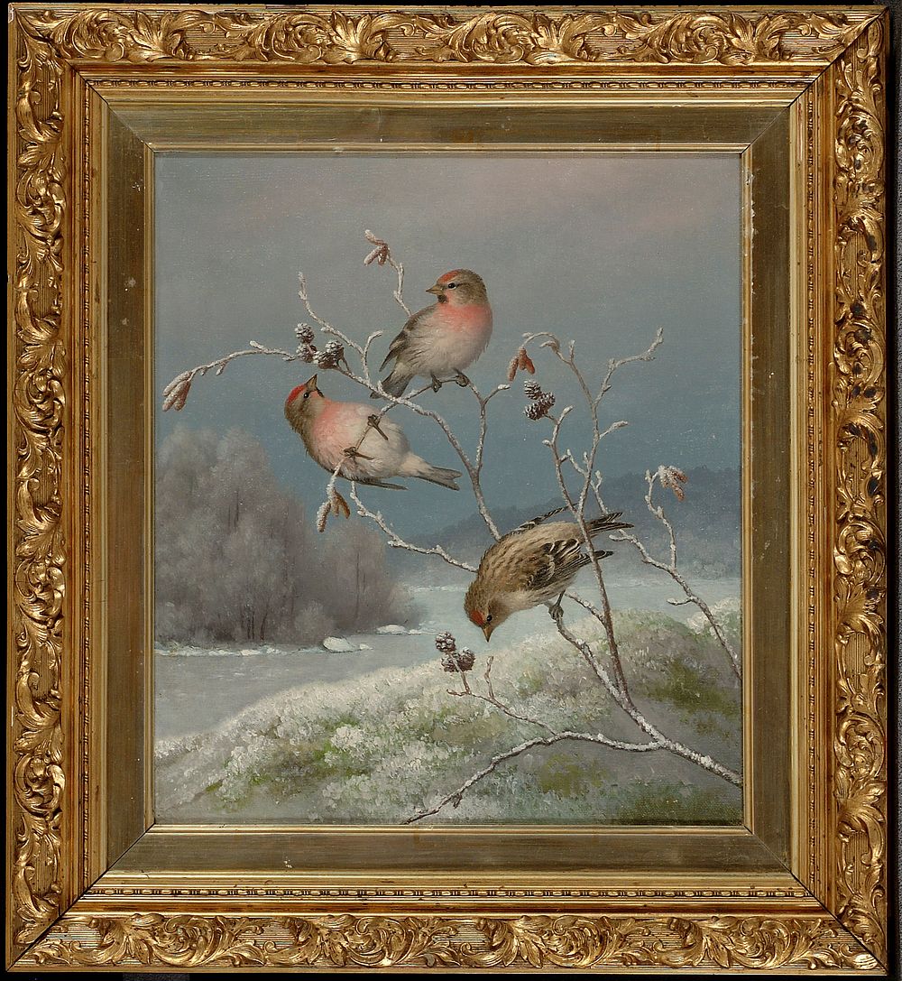 Mealy redpolls, 1889, by Ferdinand von Wright