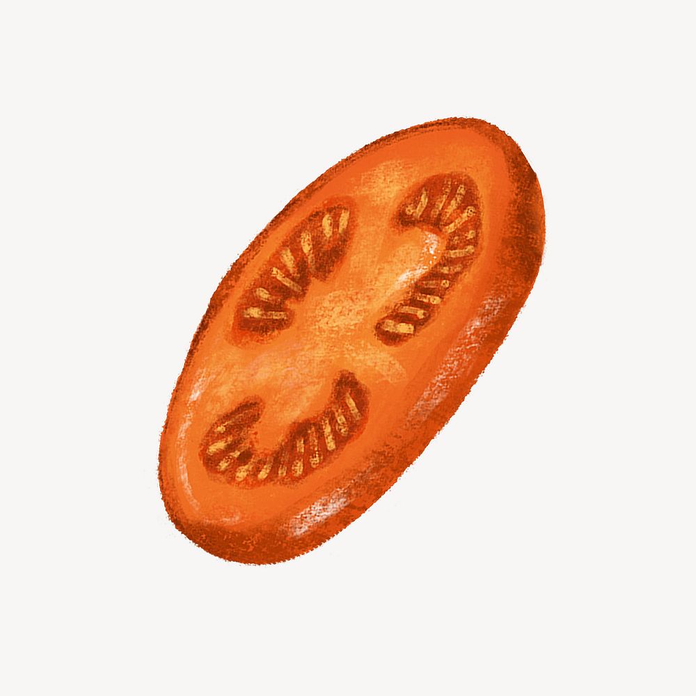 Tomato slice illustration, food design