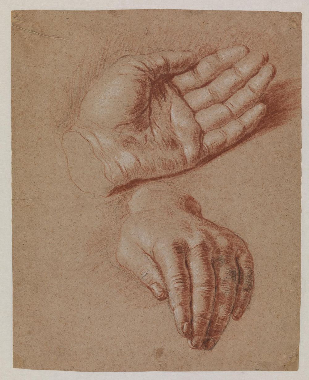 Studies of two hands by Karel Van III Mander