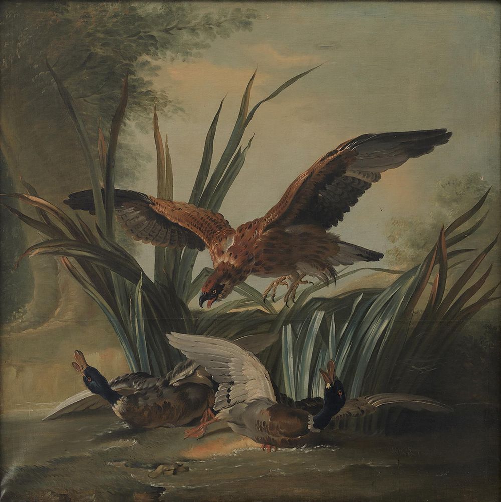 A hawk swoops down on two ducks by Jean Baptiste Oudry