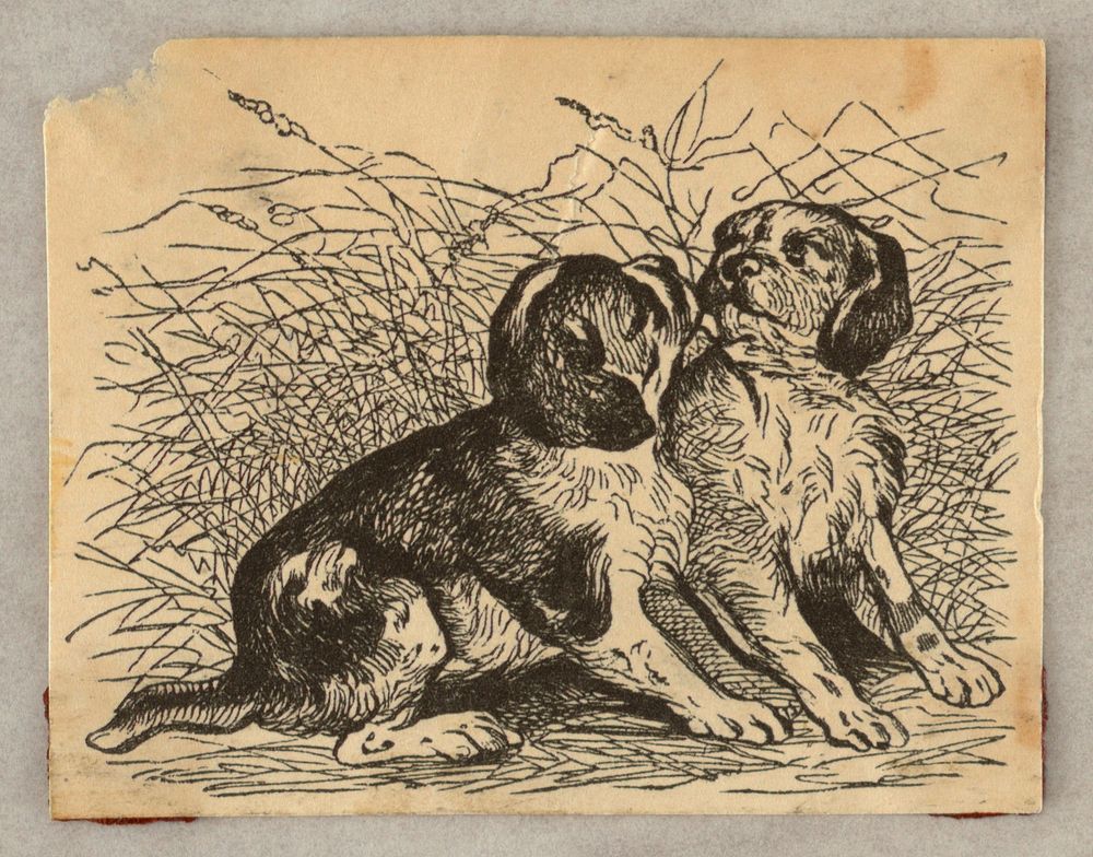 Vignette, Two Dogs