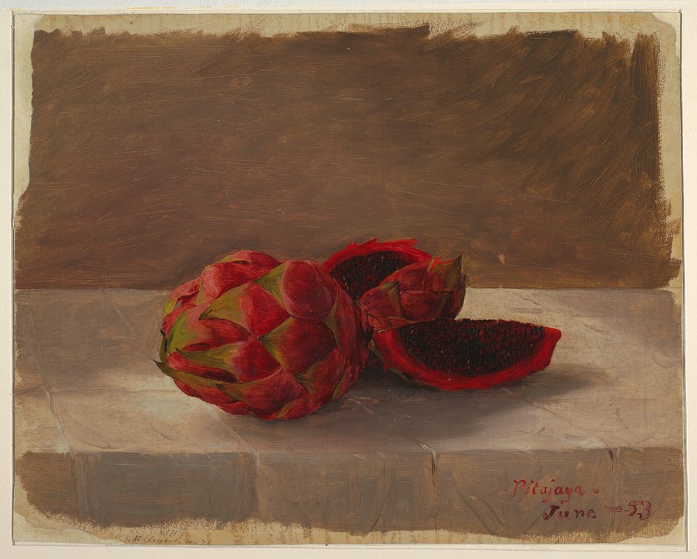 The Pitajaya Fruit, Columbia, Frederic Edwin Church