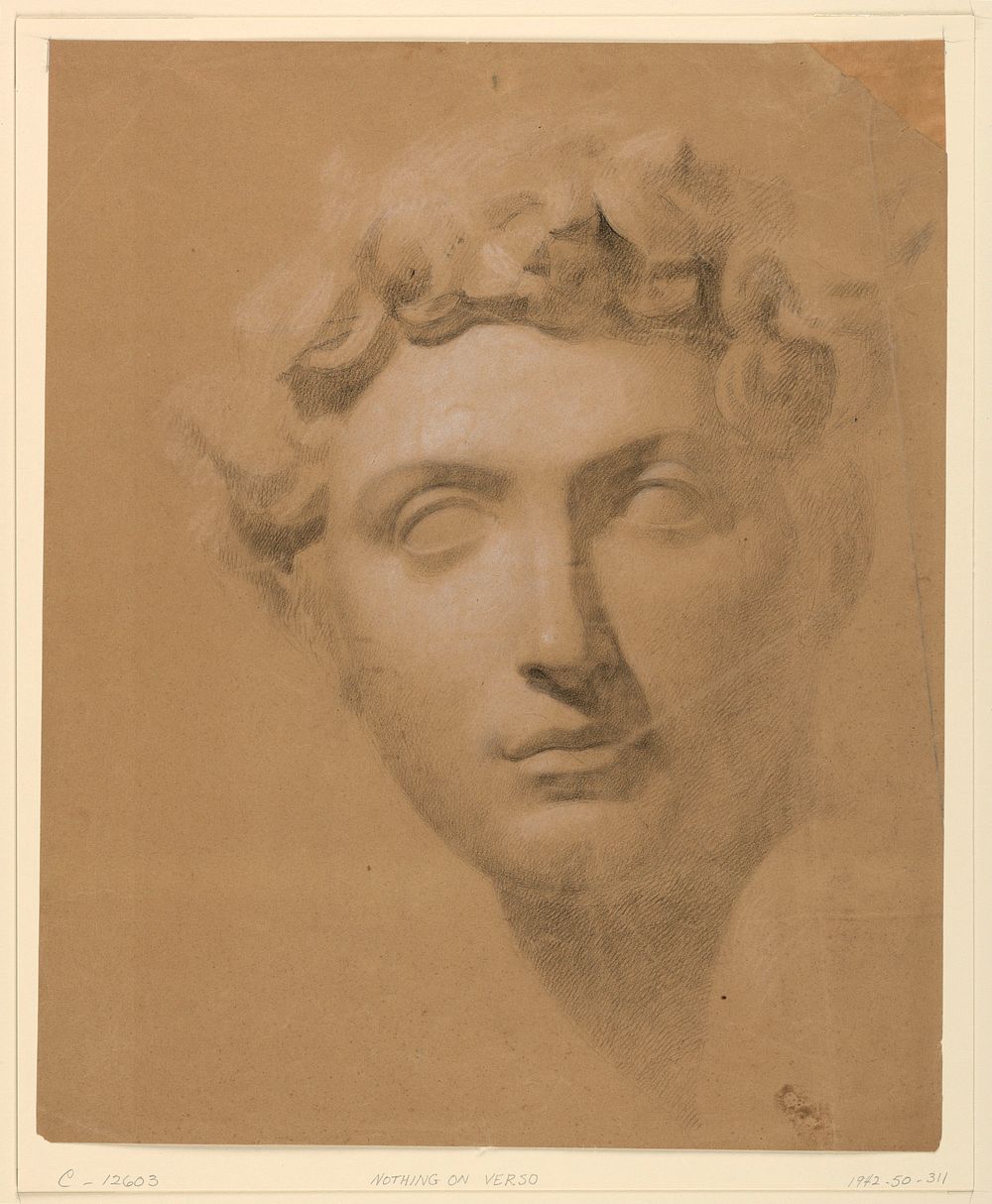 Male Head From a Plaster Cast, Daniel Huntington