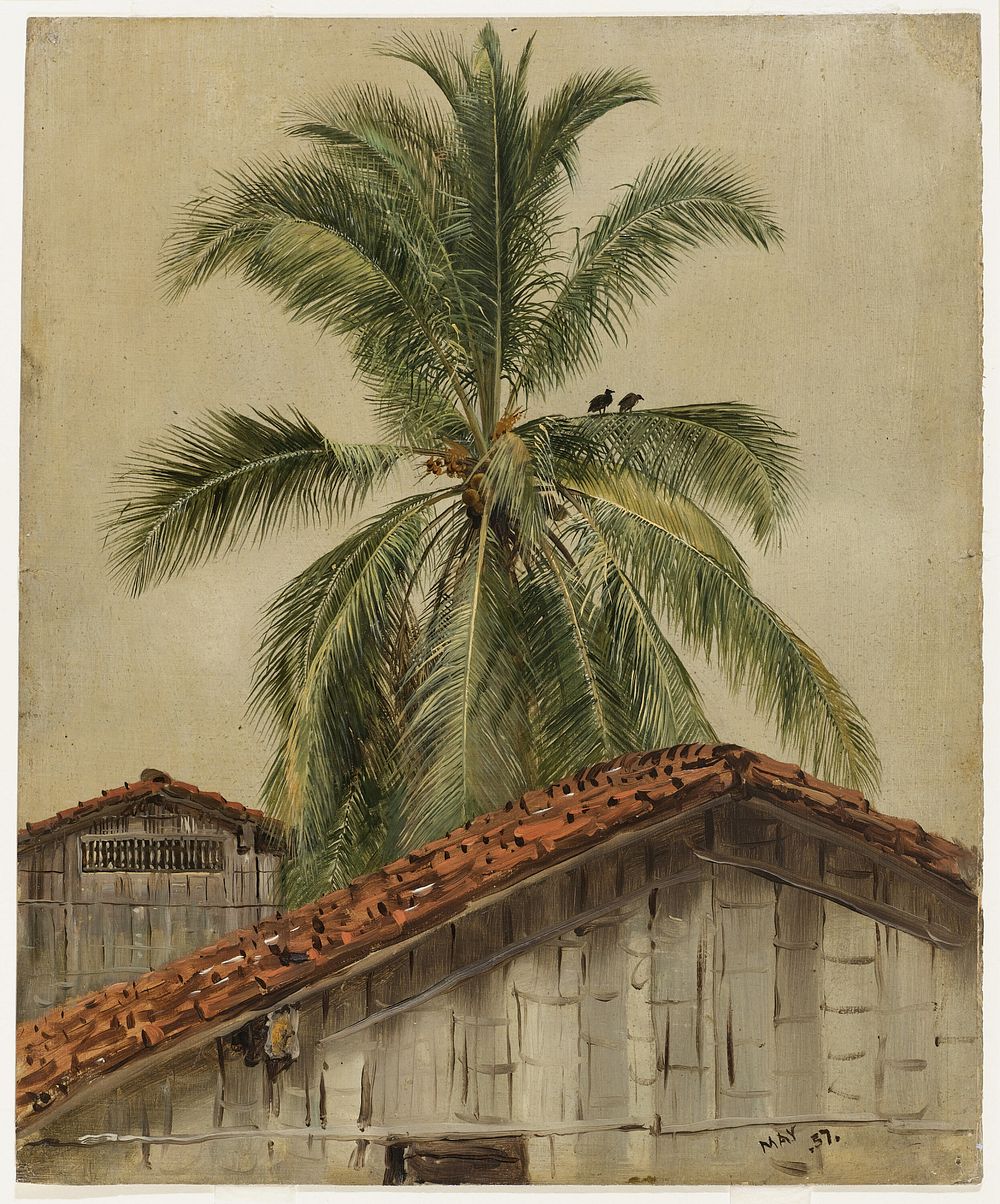 Palm Trees and Housetops, Ecuador, Frederic Edwin Church
