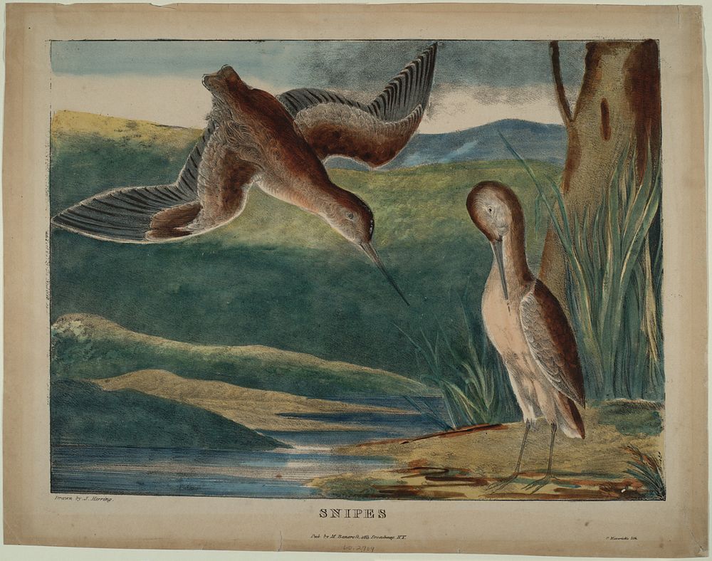Snipes, Smithsonian National Museum of African Art