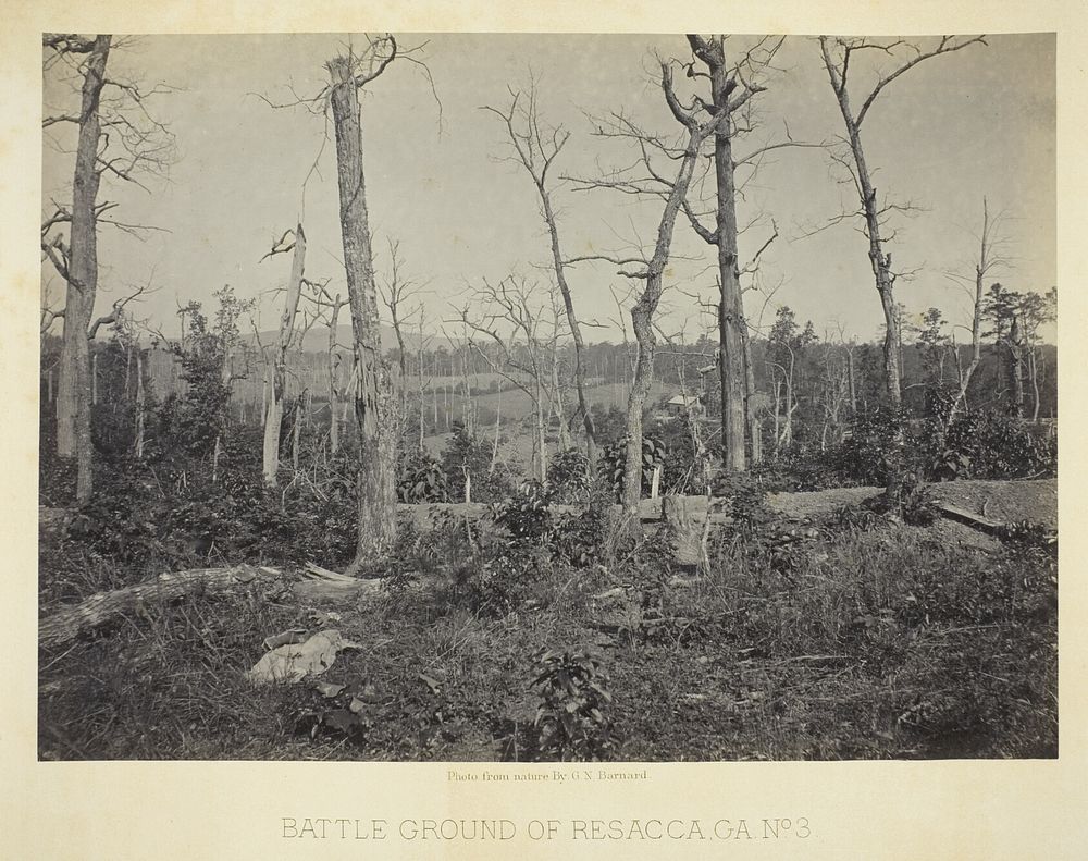 Battle Ground of Resacca, GA, No. 3 by George N. Barnard