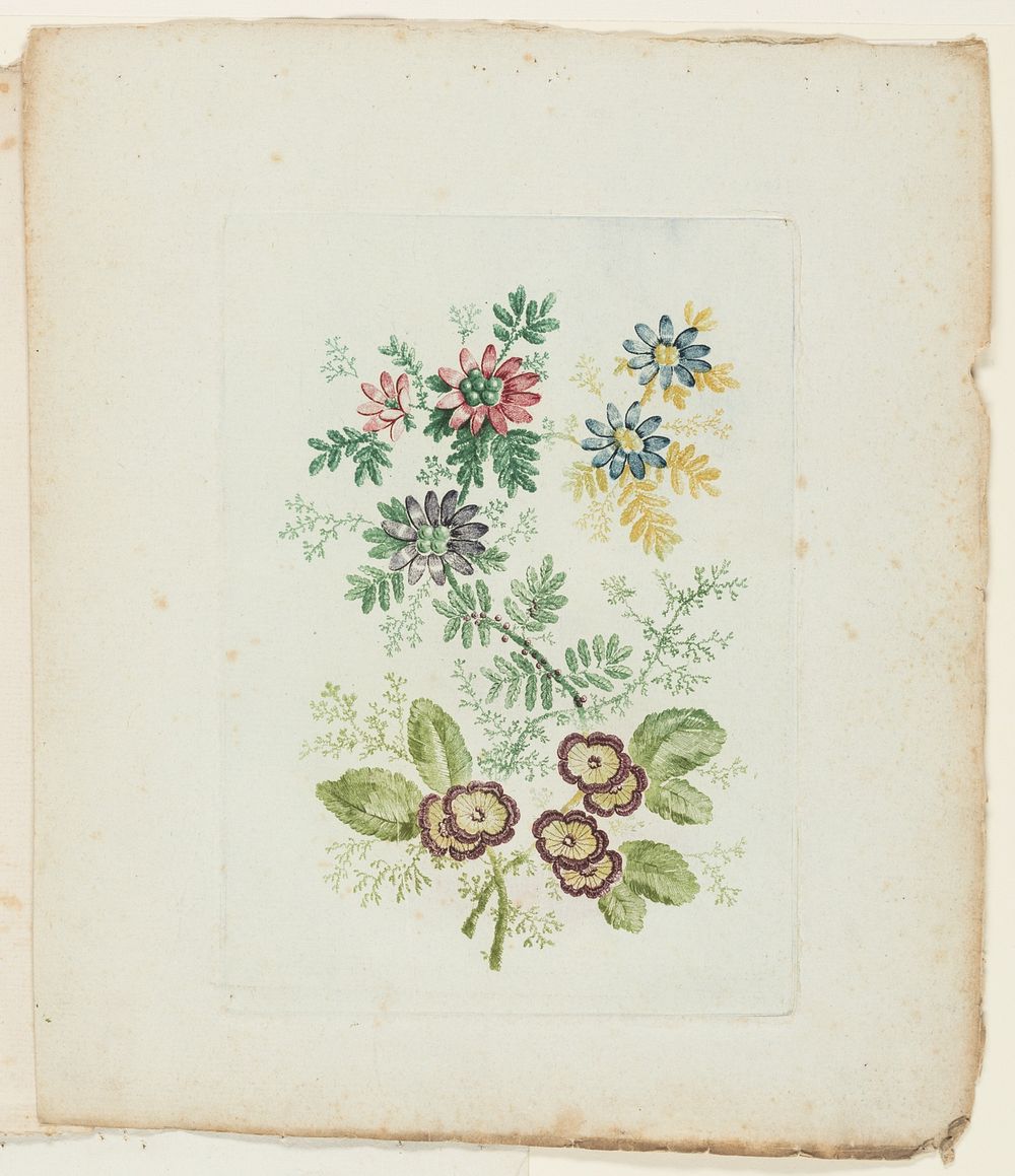 Plate, from New Suite of Notebooks of Ideal Flowers for Use by Draftsmen and Painters by Anne Allen