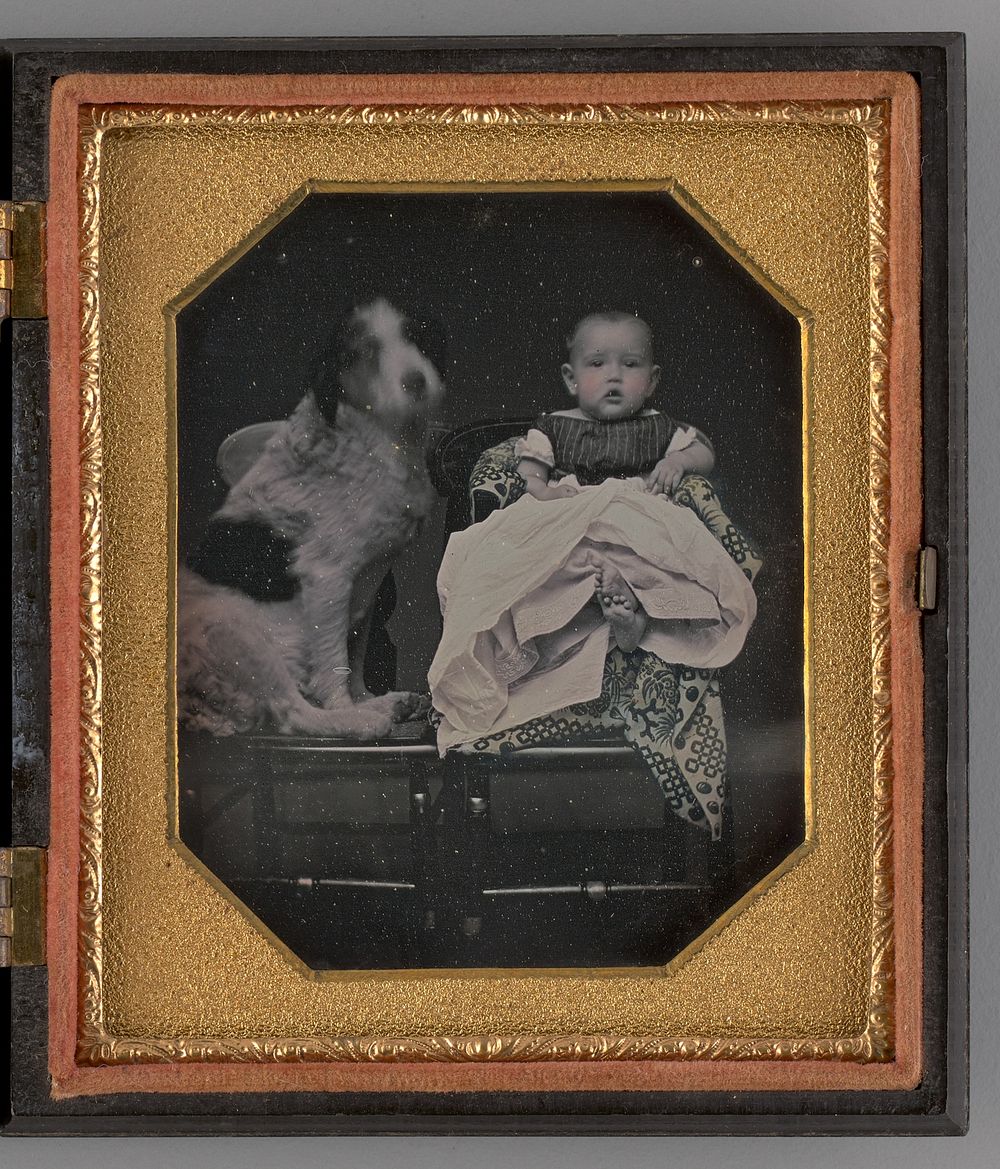 Untitled (Portrait of a Baby and Dog) by Unknown Maker