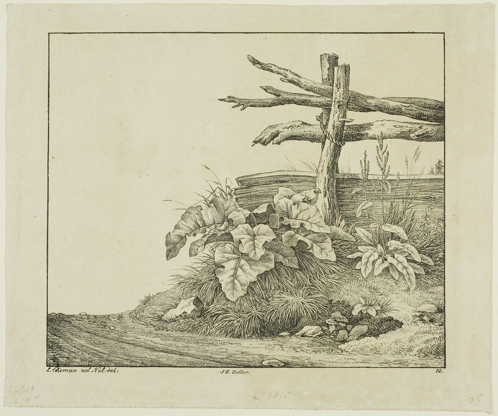 Landscape with Flora and Rustic Fence near Roadside by Lorenz Ekemann Alesson