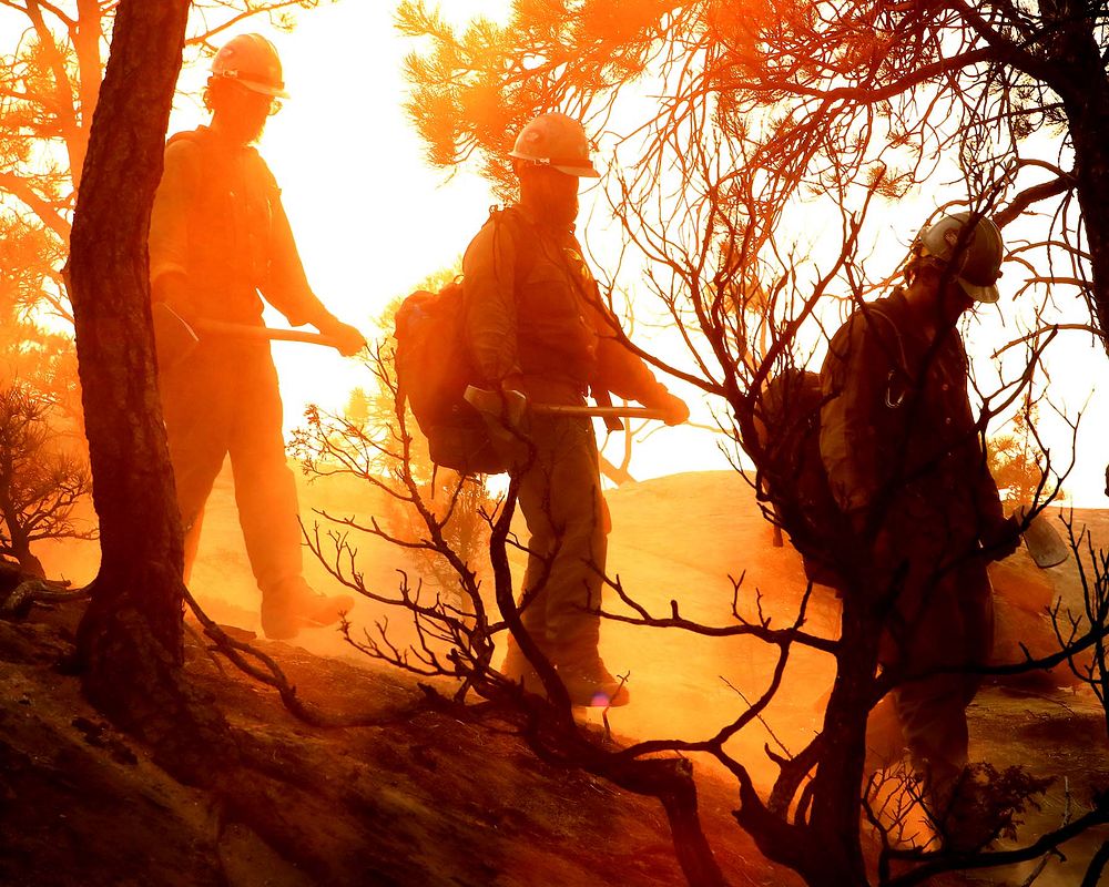 BLM Veterans Crew at MY Complex. BLM's Billings Veterans Crew walked through the ponderosa pines on the MY Complex in…