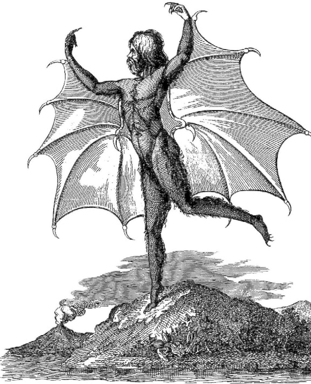 Portrait of a man-bat (Vespertilio-homo), from an edition of the moon series published in Naples. (Courtesy of the New York…