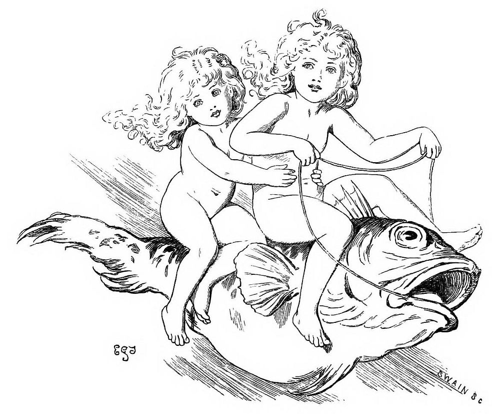 FAIRIES RIDING ON FISH