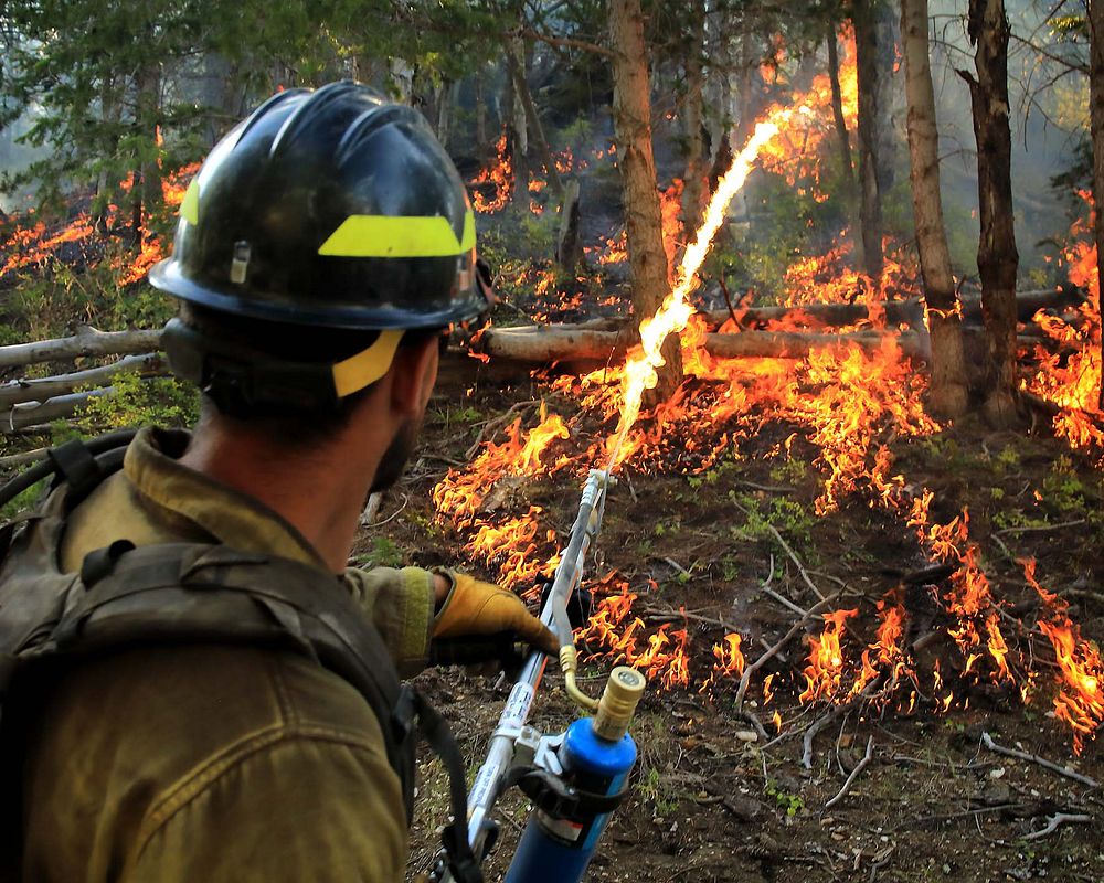 Fuels Management, Terra TorchIn this photo a firefighter is using a Terra Torch to assist with fuels treatment. Because of…