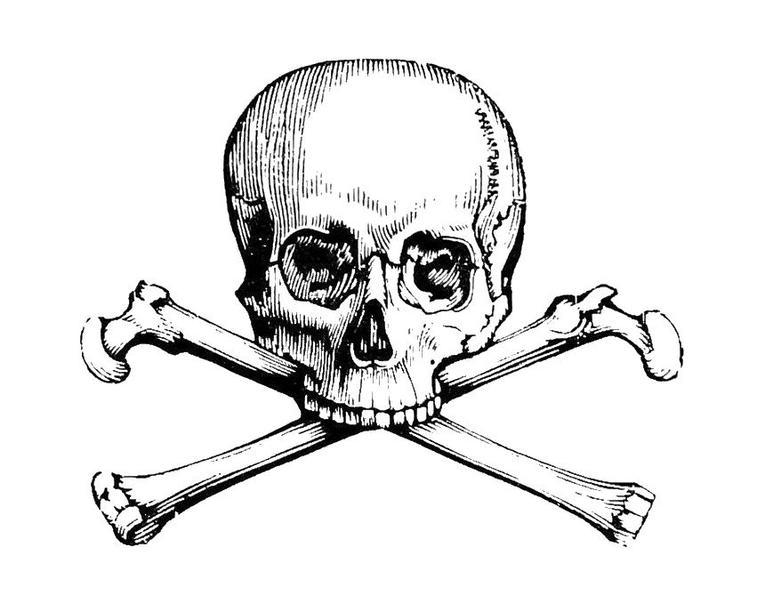 Skull-and-crossbones ornament from an 1867 type catalog.
