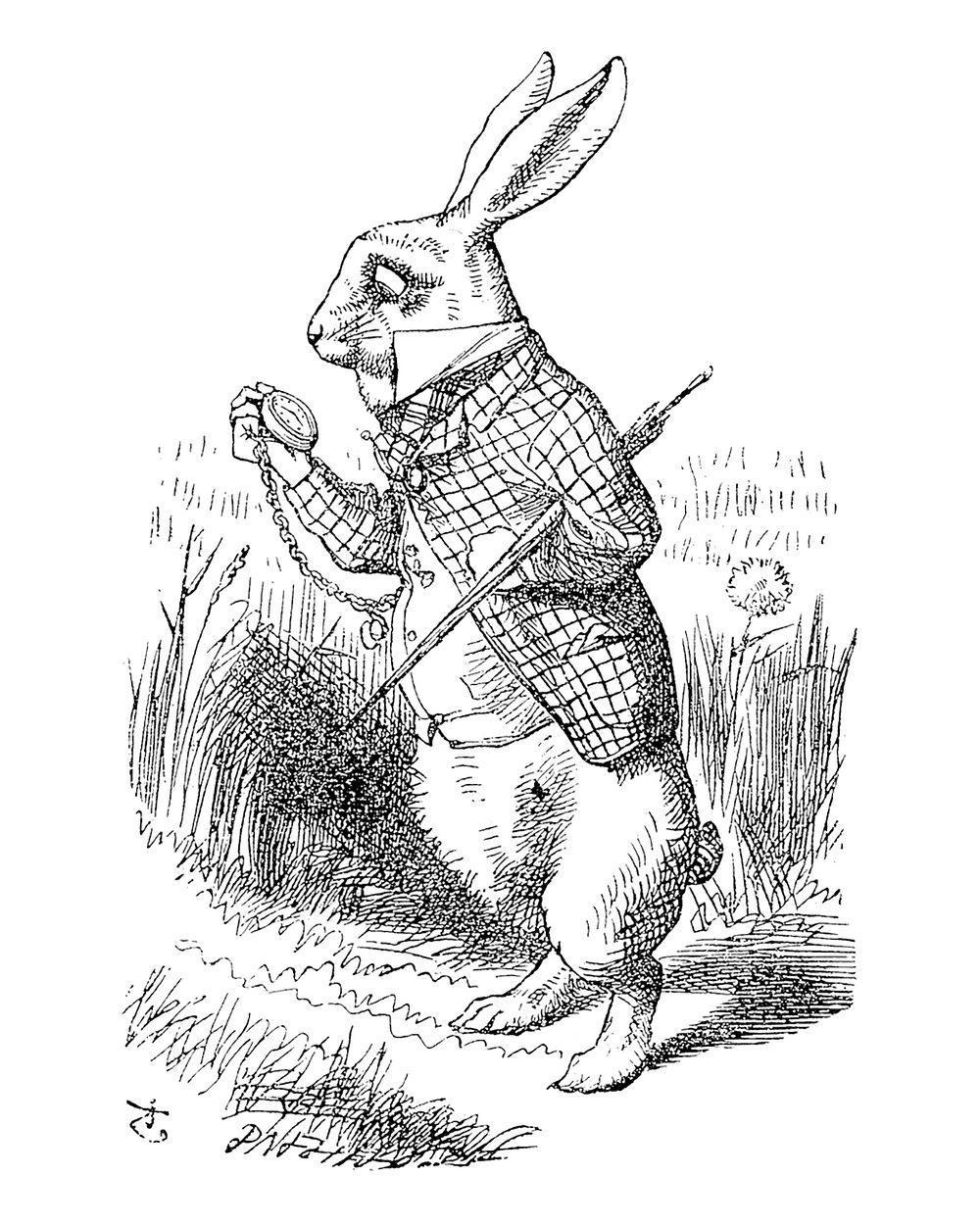 Illustration of the first page of Alice's Adventures in Wonderland (1865) by John Tenniel