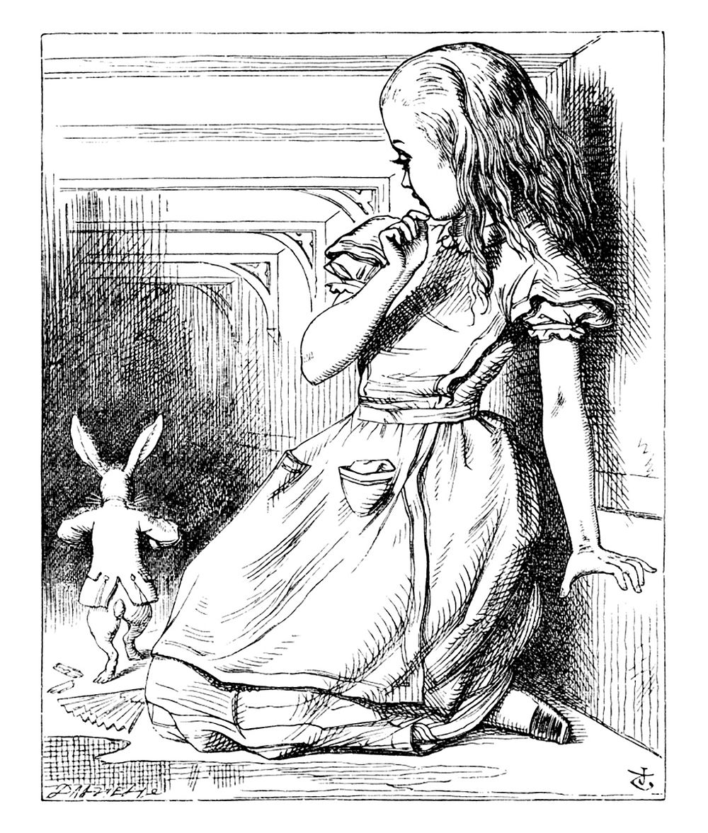 Alice's Adventures in Wonderland (1865) by John Tenniel