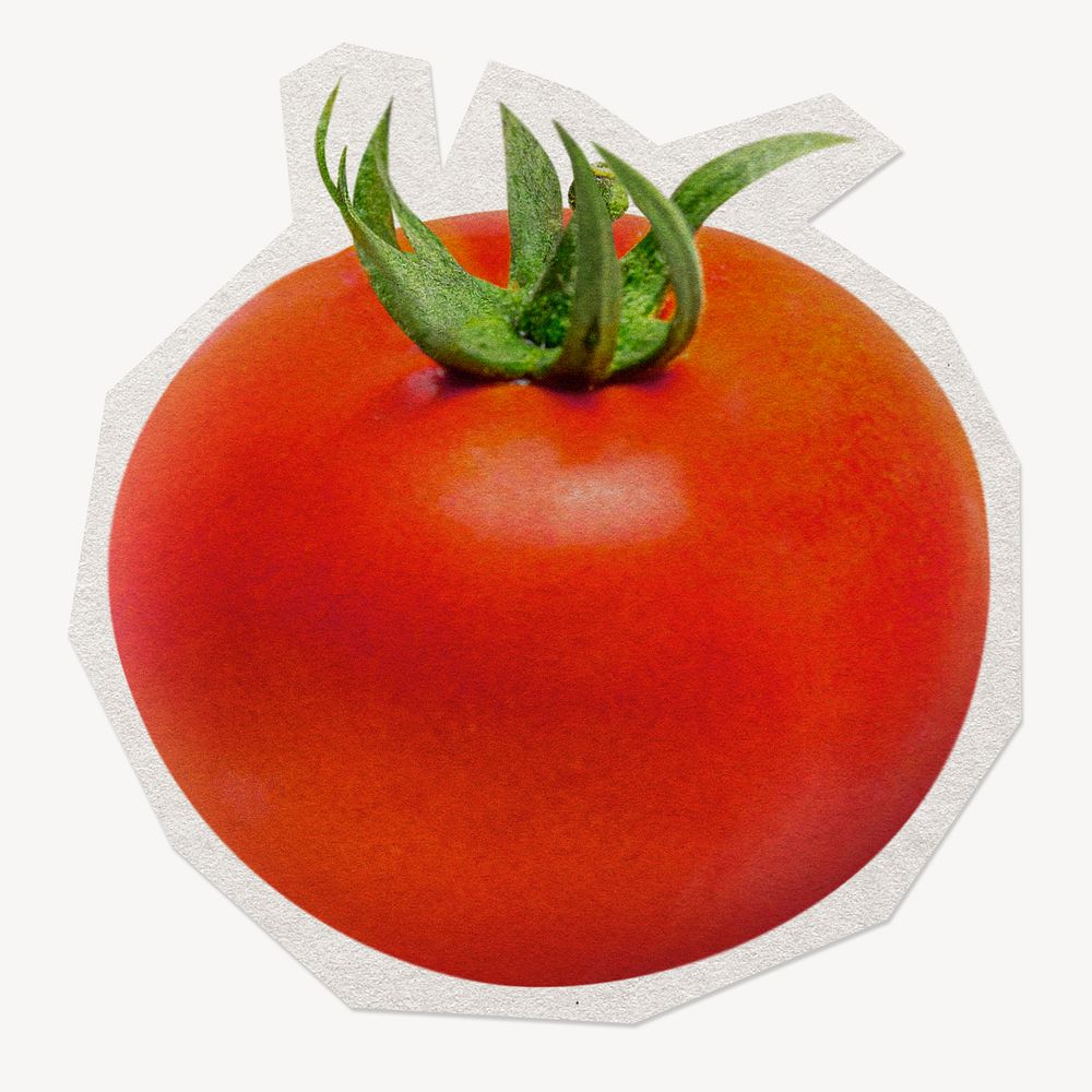 Fresh tomato, paper cut isolated design