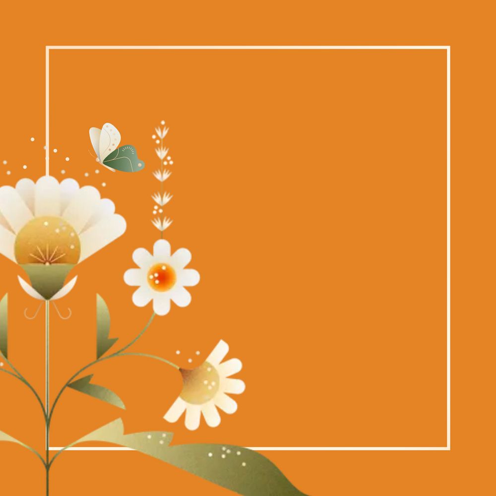 Orange daisy floral border frame