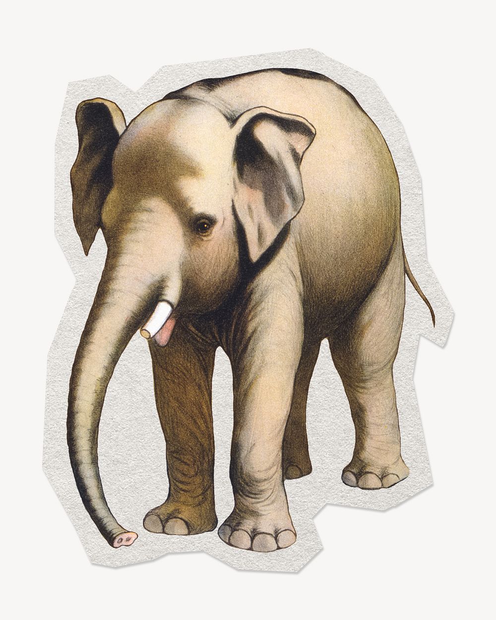 Elephant African animal paper element with white border