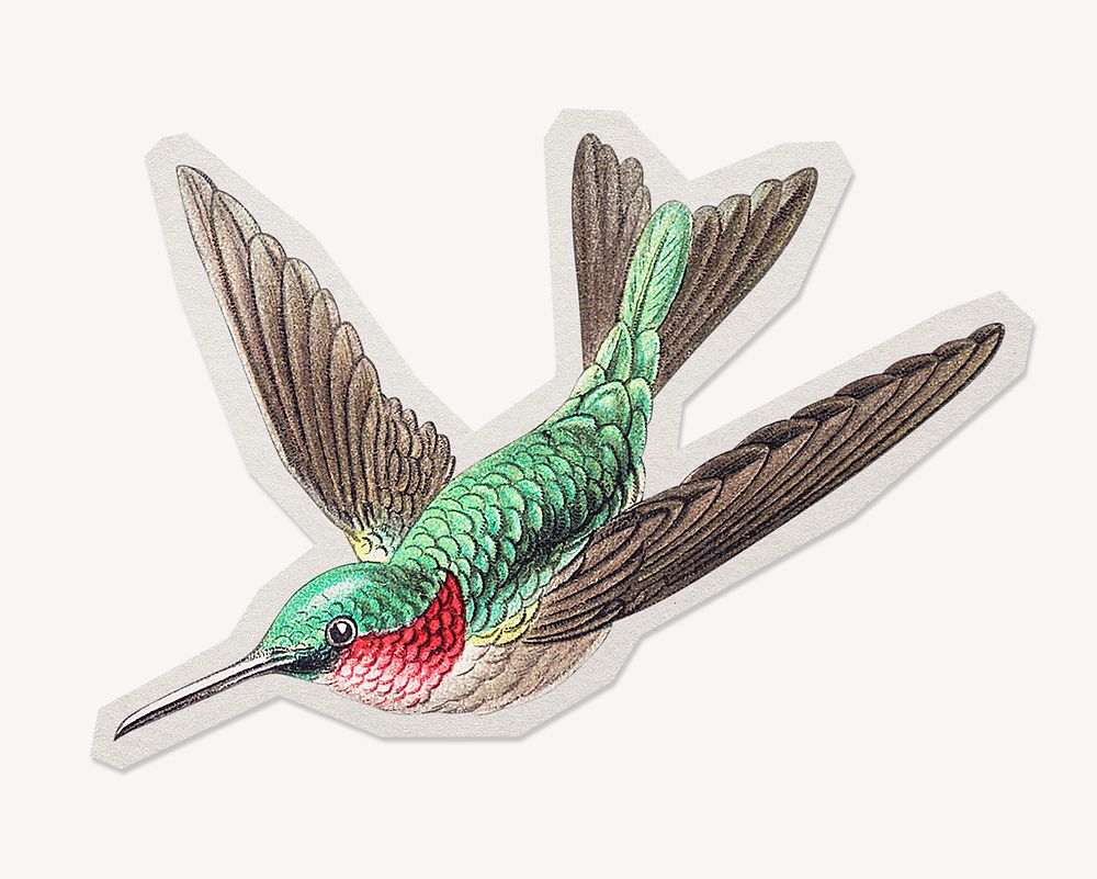 Vintage hummingbird paper cut isolated design