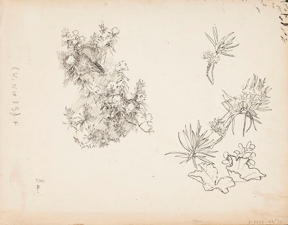 (unknown), 1900 - 1937part of a sketchbook