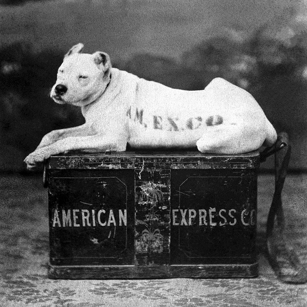 The "watchdog logo" used by American Express to symbolize trust and security.