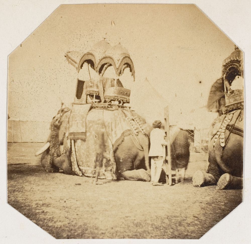 [Maharajah Putteala's State Elephant]