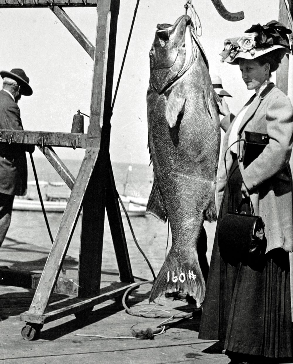 A lady was standing by a very big fish, Newport, OR c1912Siuslaw National Forest Historic Photo. Original public domain…
