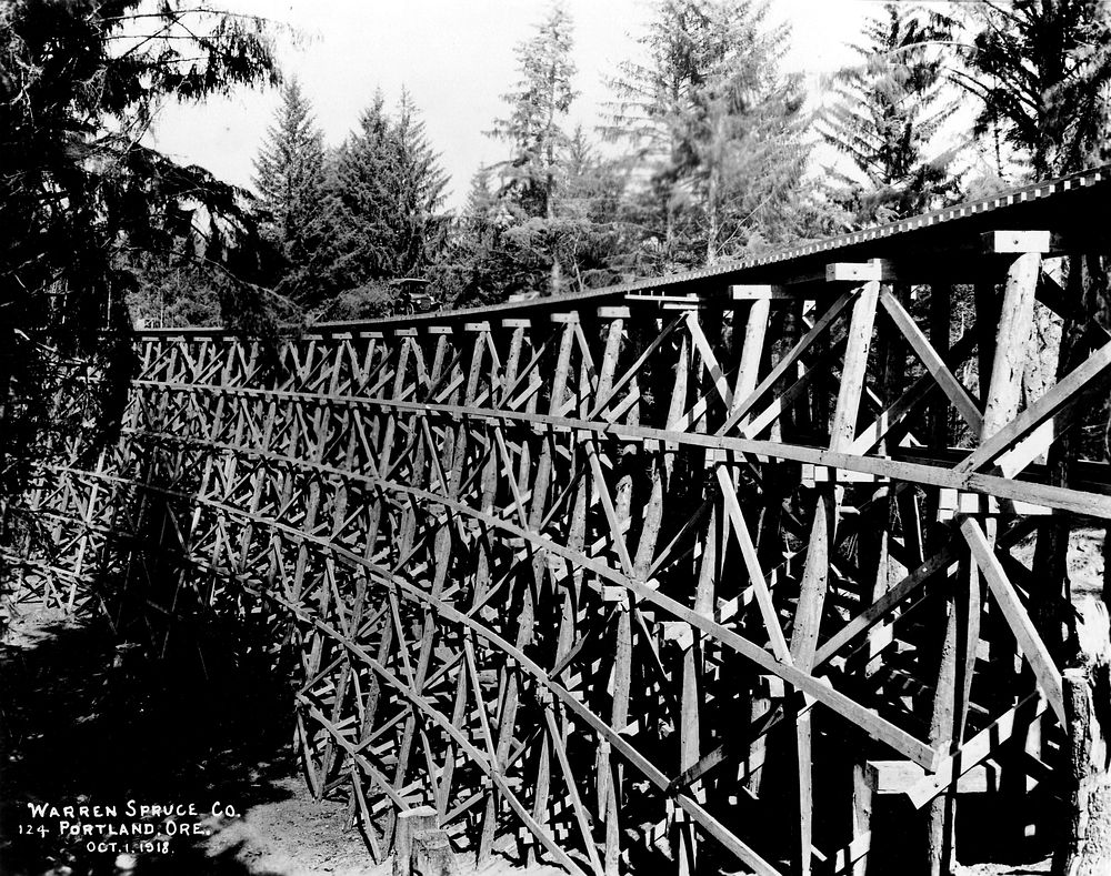 WWI Spruce Production Division - established to harvest wood for military airplane construction during World War One.…