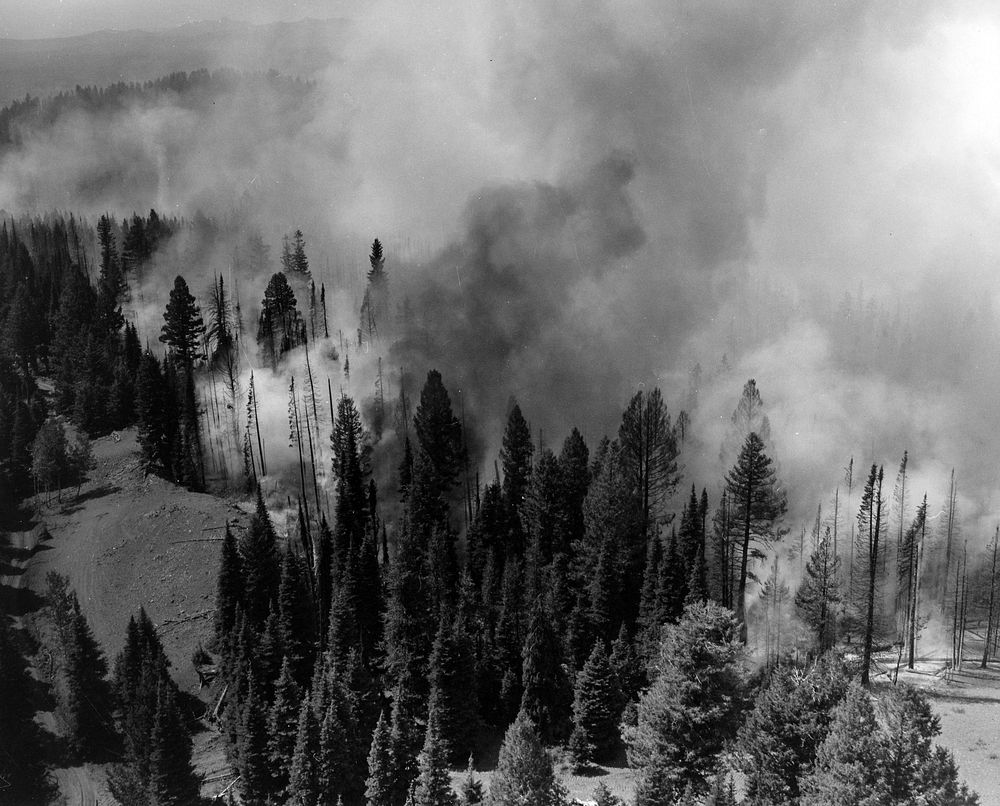 Lookout Mtn Fire, W-W NF, OR 1967 c Wallowa-Whitman National Forest Historic Photo. Original public domain image from Flickr