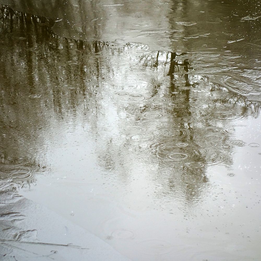 Light rain on thin ice at Holma mill pond