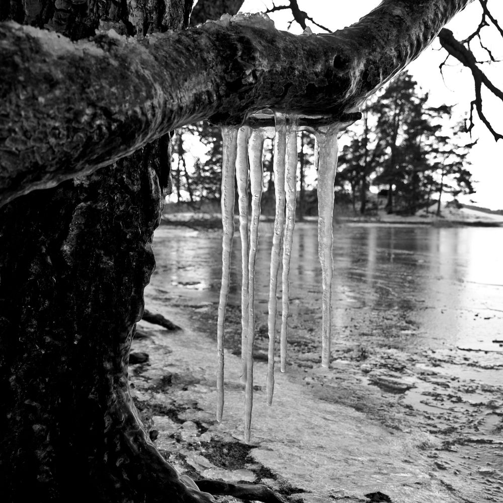 Ice and Wood. Original public domain image from Flickr