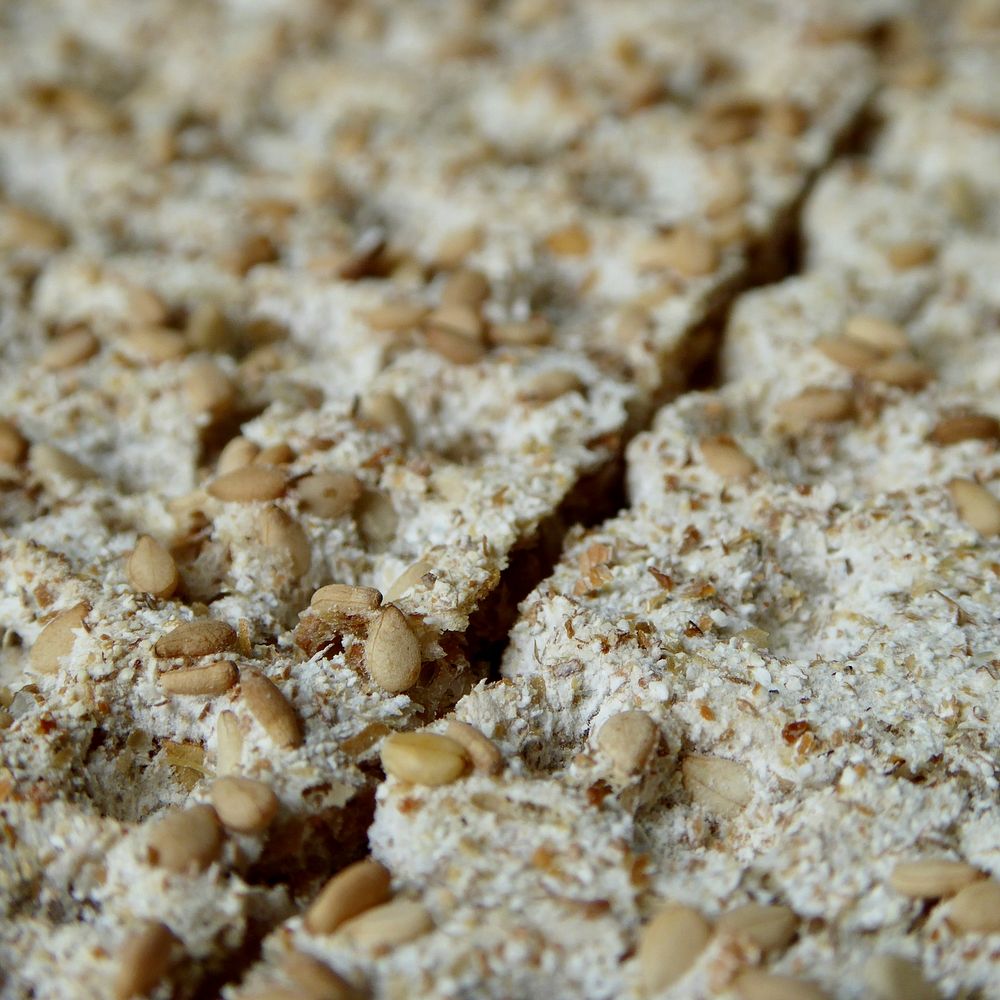 Close up oatmeal bars. Free public domain CC0 photo.
