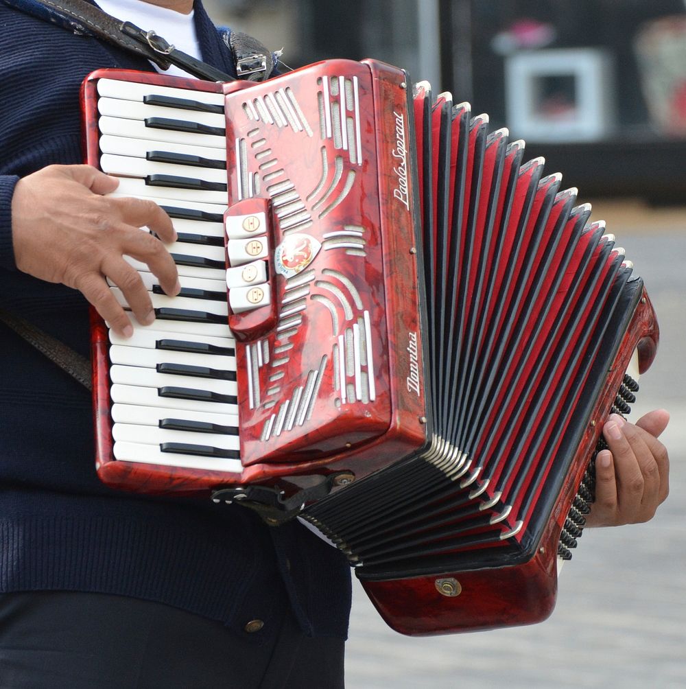 Musician playing accordion, musical instrument. Free public domain CC0 photo.